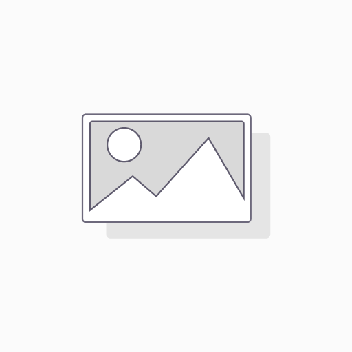 Bpost Domestic bpack 24h Pro